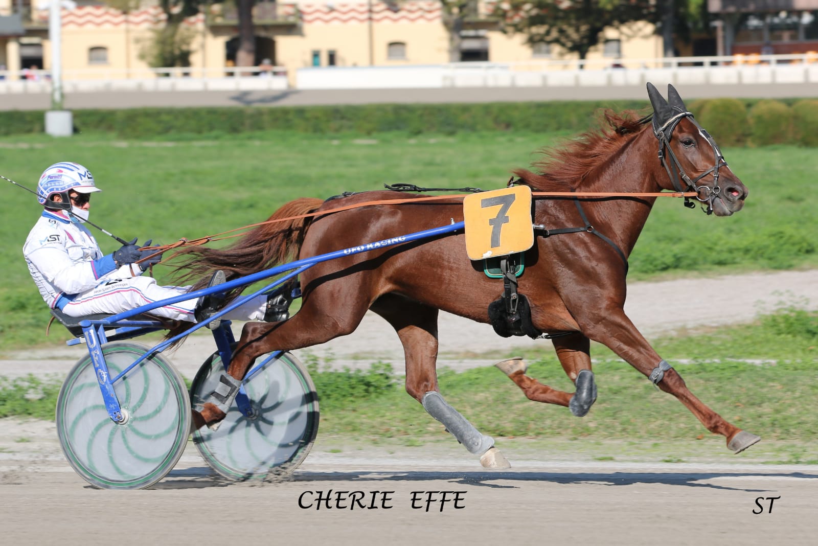 cherie corsa