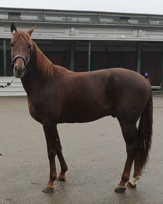 IMG-20200115-WA