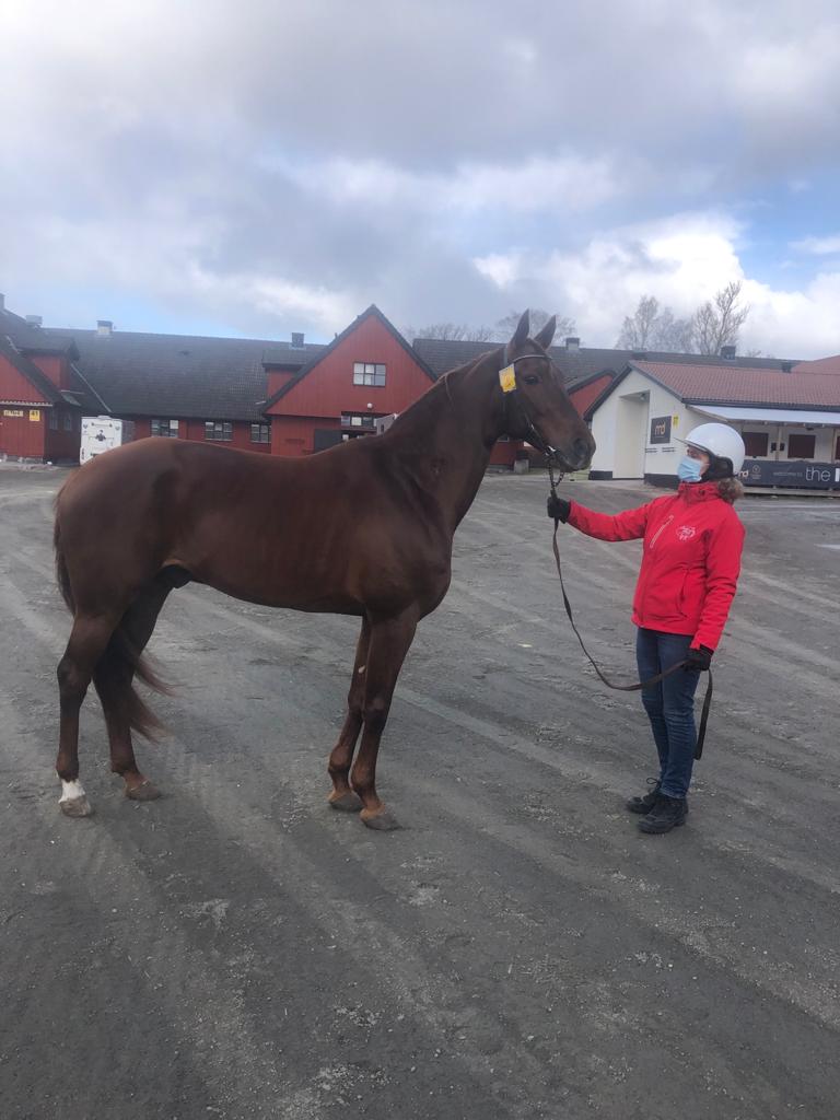 IMG-20210319-WA